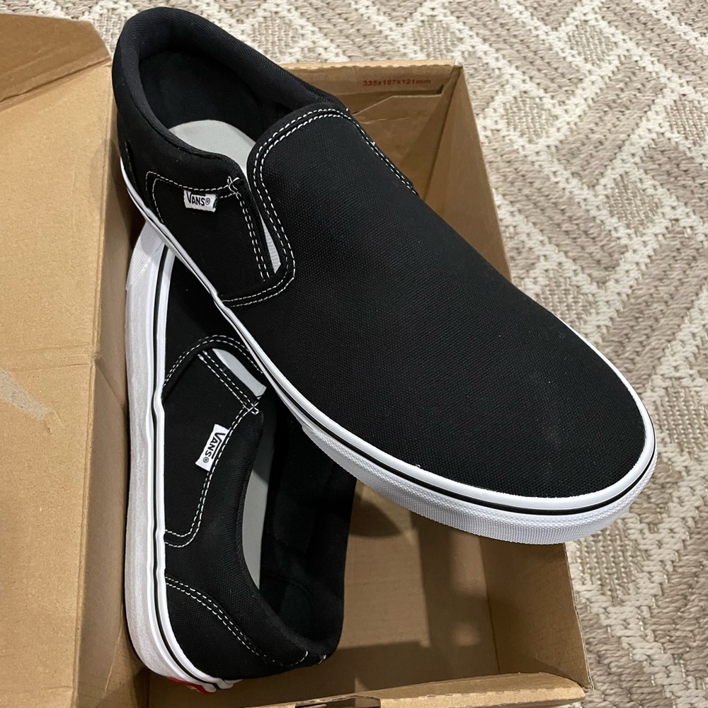 New Vans Asher Shoes